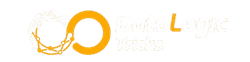 DLT Business Solutions (OPC) Pvt Ltd